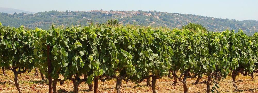 Vacanceole - Les Bastides De Fayence Tourrettes Exterior photo